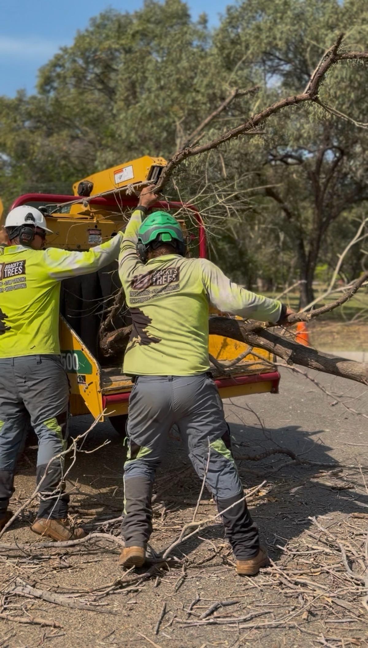 Crew feeding wood chipper